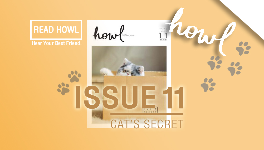 bookgazine Cat's Secret Free Copy Howl mbookstore Pet Lovers ความลับของแมว นิตยสาร สุนัข แมว