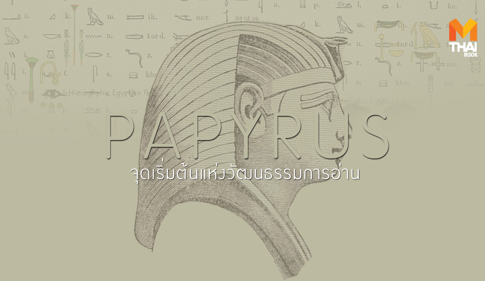 papyrus กระดาษ กระดาษปาปิรุส วัฒนธรรมการอ่าน อียิปต์